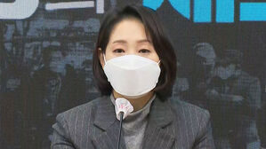 조동연 민주당 공동상임선대위원장