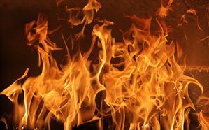 [인-잇] 소방관인 나, 집에 불이 났다 (ft. 말조심)