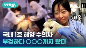 이영란 수의사가 말하는 비닐 삼킨 돌고래의 죽음 ft.바다거북 (※쿠키영상 물범 근황 있음)