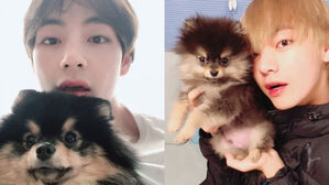 [SBS Star] BTS V Makes Fans Tear Up with What He Wants to Say to Yeon-tan