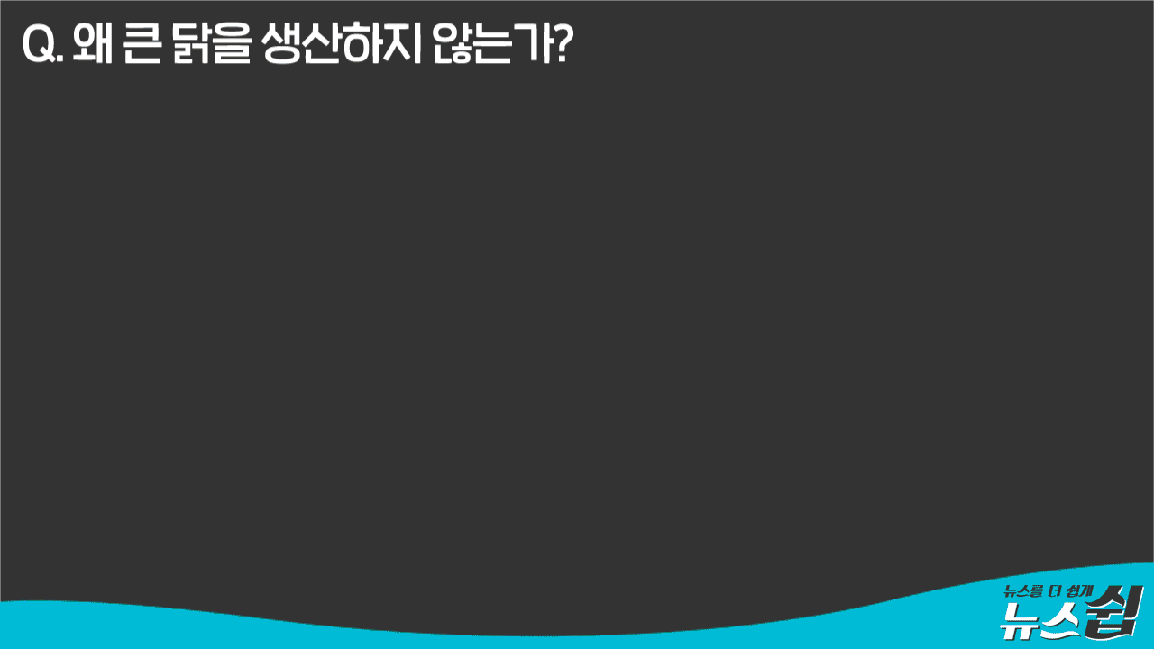 관련 이미지