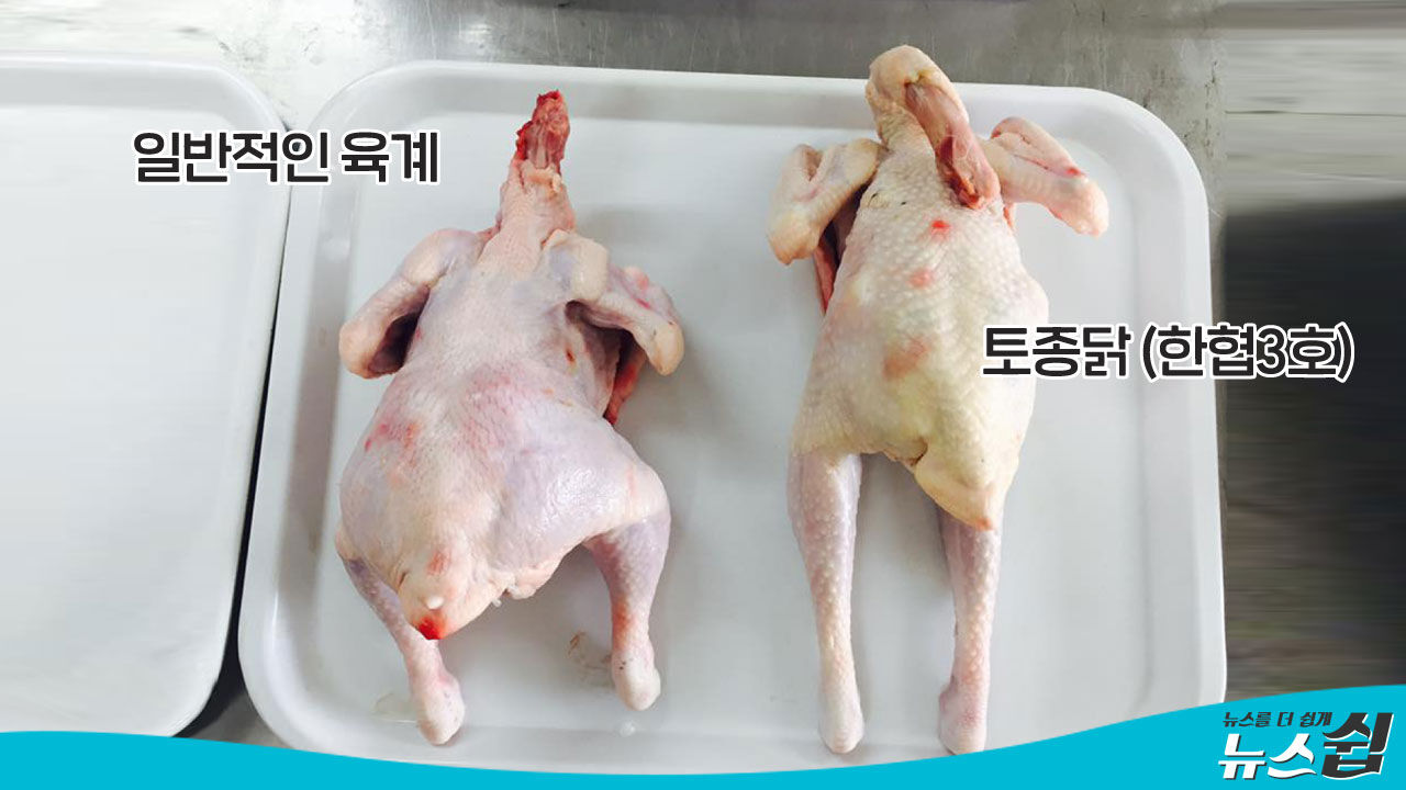 관련 이미지