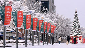 [현장] 강릉은 '화이트 크리스마스'…20cm↑ 폭설 내렸다