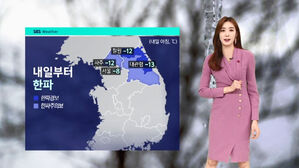 [날씨] 다시 한파주의보…'최고 10cm' 충남 · 호남 대설