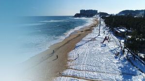 이 시각 경포&hellip;해맞이객 해변으로