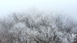 [라이프] 길, 책을 만나다 ⑩ '불행할 자유를 원합니다' - 치악산 황골지구 탐방길