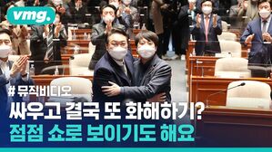 싸우고 화해하고, 싸우고 화해하고 (ft.국민의힘)