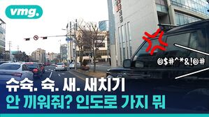내비에도 없는 길을 개척하는 운전자; '인도'로 달리는 보복운전 클라쓰