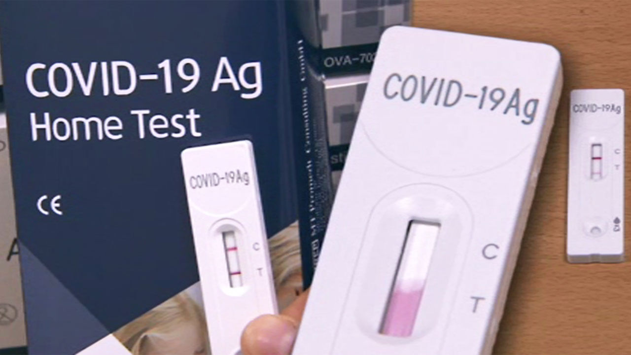 코로나19 진단 키트