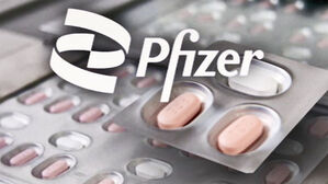 화이자 '먹는 치료제' 내주 도입&hellip;"투약 기준 마련 중"