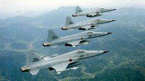 화성시 야산에 F-5E 전투기 1대 추락&hellip;"조종사 비상탈출 확인 중"