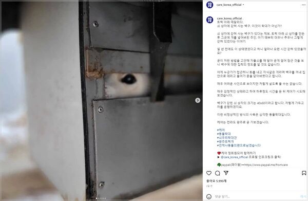 [Pick] 쇠 상자에 갇혀 끌려다닌 개…주인의 무지한 '애정'이었다