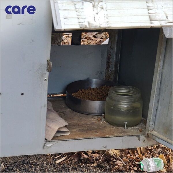 [Pick] 쇠 상자에 갇혀 끌려다닌 개…주인의 무지한 '애정'이었다