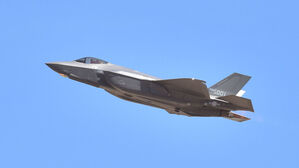 [취재파일] 해외에서도 'F-35 조류 충돌' 있었다&hellip;우리 공군 F-35A만 '먹통'