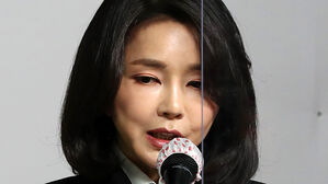 민주당 "김건희, 30년간 7억7천만 원 벌었는데 재산은 69억"