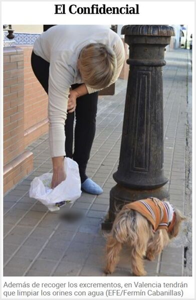 (주말용)[Pick] '작년에 반려견 배설물 안 치웠죠?