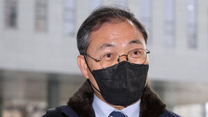 '손혜원父 유공자 재심사 허위 답변' 보훈처 전 국장 2심서 무죄