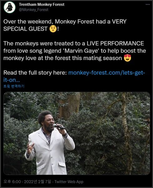 (주말용)[Pick] '원숭아, 짝짓기 응원한다!