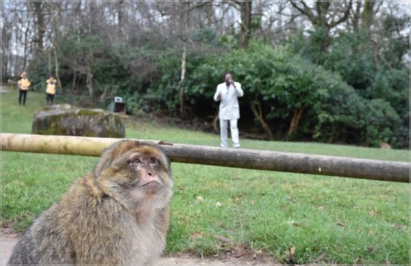 (주말용)[Pick] '원숭아, 짝짓기 응원한다!