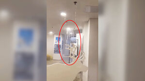 [실시간 e뉴스] '도와주세요' 물난리 난 선수촌&hellip;관계자 "영상 지워달라"