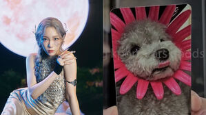[SBS Star] Fans Are Dying to Have Zero's Photo Card in Taeyeon's New Album