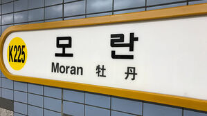 성남시, '8호선 판교 연장' 사업성 보완해 9월 예타 재신청