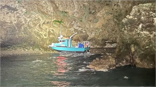 (주말용)[Pick] 한밤중 바다로 추락한 美 남성…'물개' 덕에 구사일생