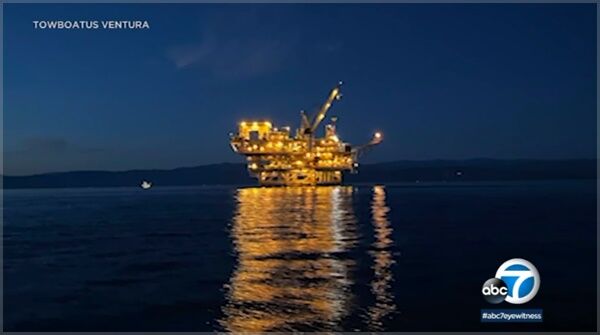 (주말용)[Pick] 한밤중 바다로 추락한 美 남성…'물개' 덕에 구사일생