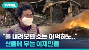 vmg. "불 내려오면 소는 어떡하노.." 산불에 우는 이재민들