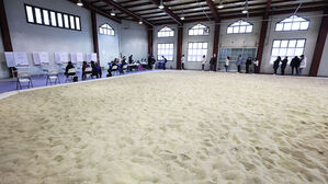 [현장] 모래밭에서 투표를?…전국 곳곳 '이색 투표소'