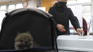 [현장] 아기도, 강아지도 "함께 왔어요!"…투표소 찾은 귀요미들