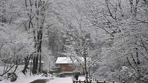 [포토] 하얗게 뒤덮은 '3월의 눈'…겨울로 돌아간 계절