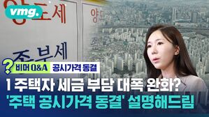 vmg. 비머 Q&A 공시가격 동결 주택자 세금 부담 대폭 완화 주택 공시가격 동결' 설명해드림