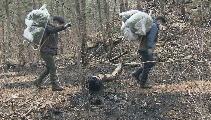 울진 산불..산양 생존