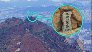 [D리포트] 산 정상까지 올라가 비석 훼손…붙잡힌 20대 용의자가 한 말