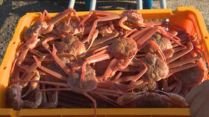 알래스카 특산물 대게 씨 마른다&hellip;"기후변화 영향 의심"