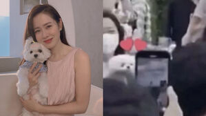 [SBS Star] Son Ye-jin's Dog Seen Watching Son Ye-jin Getting Married in Kong Hyo-jin's Arms