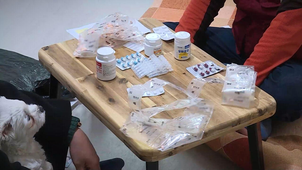 [취재파일] 이것은 잔혹한 그림이라기보다는, 하나의 창문일 수도 있다