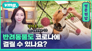 [엉문현답] 반려동물도 코로나에 걸릴 수 있나요 ?