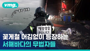 꽃게철 어김없이 등장하는 서해바다의 무법자들, 중국 불법 어선.