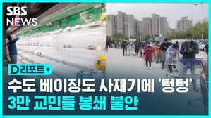 D리포트  수도 베이징도 사재기에 '텅텅' 3만 교민들 봉쇄 불안