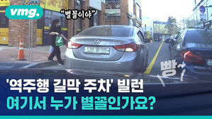'역주행 길막 주차' 빌런, 여기서 누가 별꼴인가요?