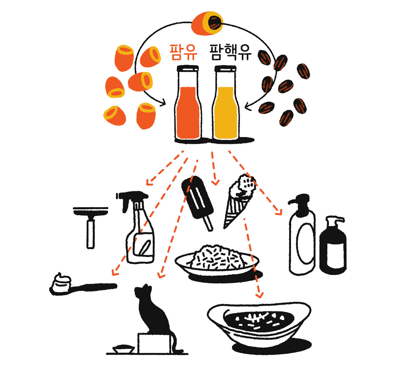 팜유(팜유, 팜핵유)의 활용범위 