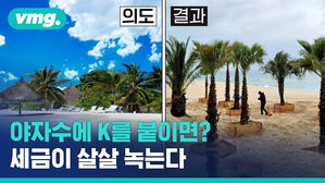야자수에 K를 붙이면? 세금이 살살 녹는다. 강릉 해변에 무슨 일이?