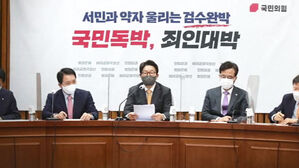 국힘, 국민투표법 일부 개정 시동&hellip;민주 "전형적인 생떼"