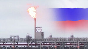 [단독] "한국 수입분 LNG선 5척 분량 유럽에 양도"