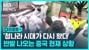 D리포트 '청나라 시대가 다시 왔다' 반발 나오는 중국 현재 상황