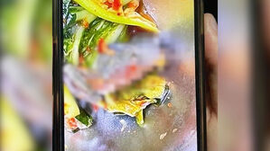 "입 벌린 채 그대로"&hellip;고등학교 급식서 몸통 잘린 개구리