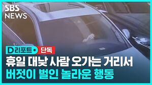 D리포트 단독 휴일 대낮 사람 오가는 거리서  버젓이 벌인 놀라운 행동