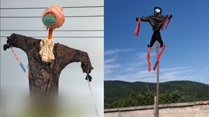 [D리포트] 북중 접경 지역에 허수아비 등장 왜?&hellip;"북한 새 못 넘어오게 하라"는 중국